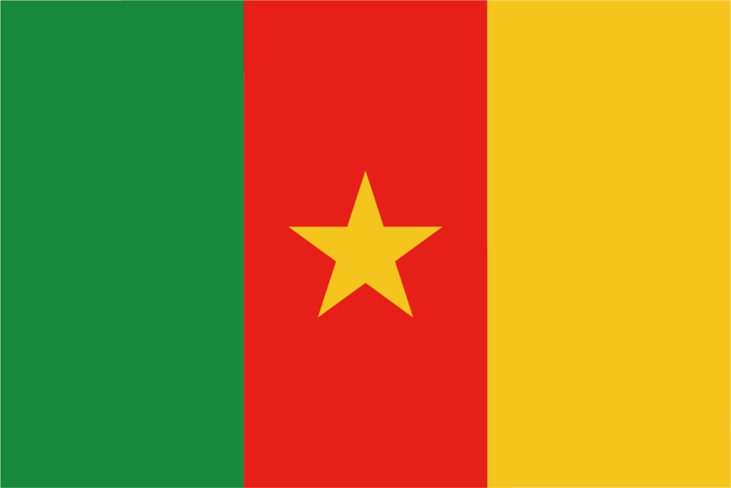 ダウンロード販売素材・販促イラスト素材・世界の国旗(アフリカ54ヵ国の国旗)ZIP (AI, PNG形式)