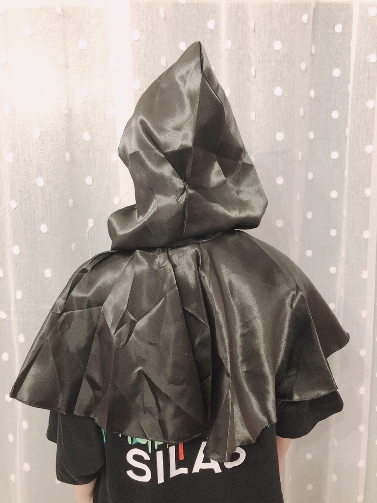 忠誠を示すローブ・改