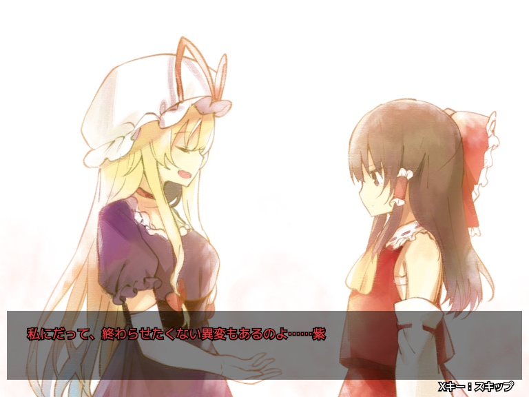 紫と霊夢の終わらない夏