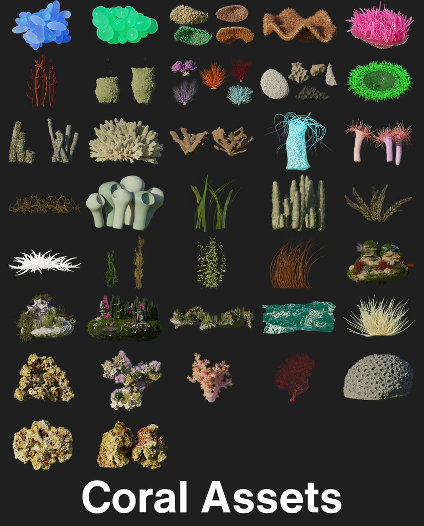 Coral And Creatures Collection fish 3D