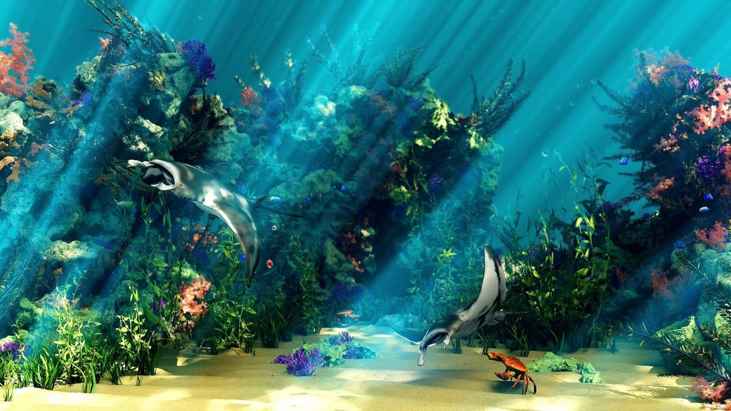 Coral And Creatures Collection fish 3D