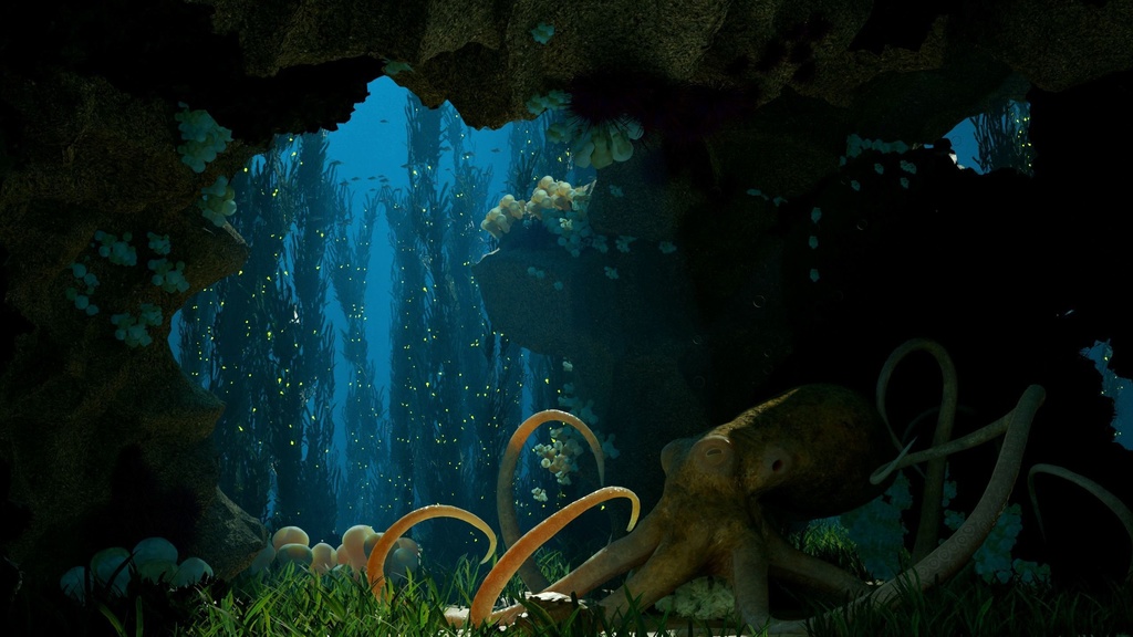 Coral And Creatures Collection fish 3D