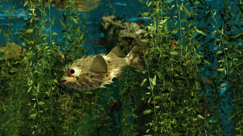 Coral And Creatures Collection fish 3D