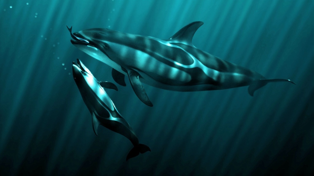 Coral And Creatures Collection fish 3D