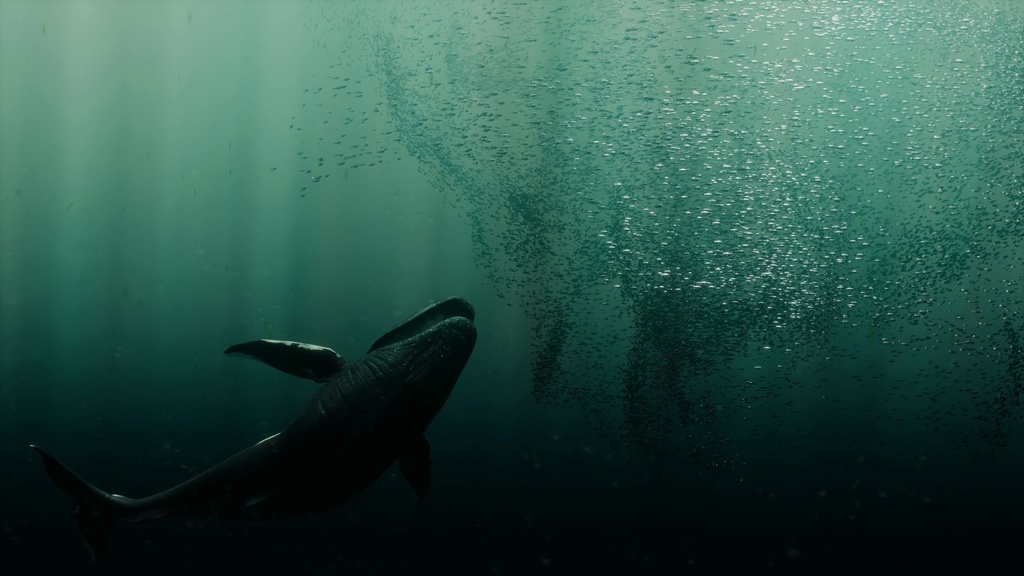 Coral And Creatures Collection fish 3D