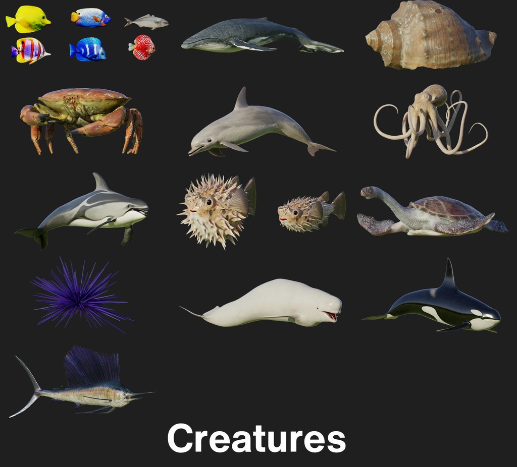 Coral And Creatures Collection fish 3D
