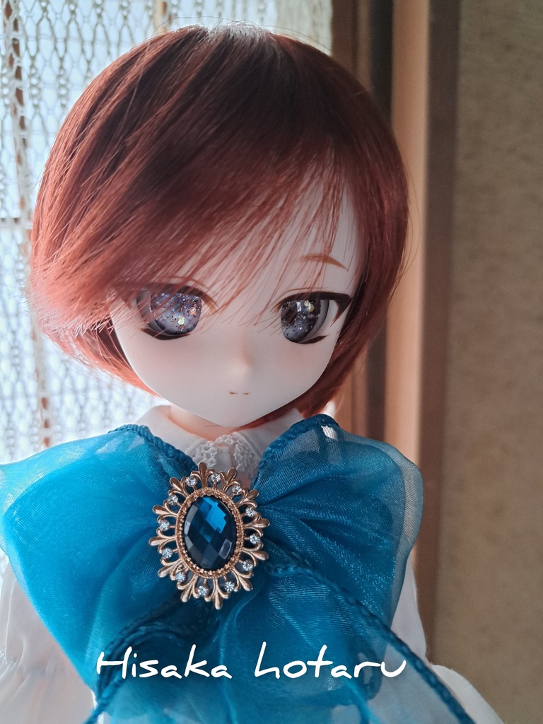 【DDH-29 カスタムヘッド SW肌+アイ】