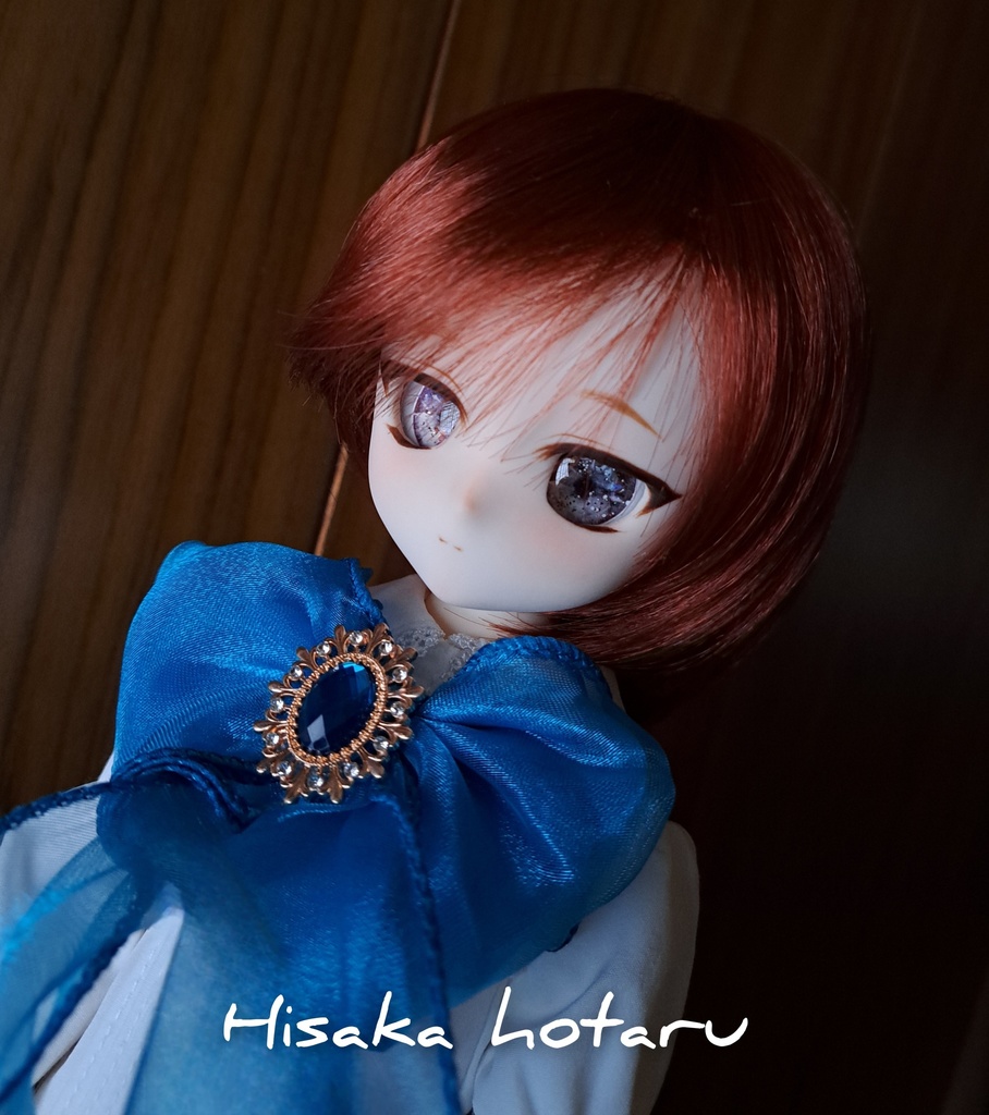 【DDH-29 カスタムヘッド SW肌+アイ】