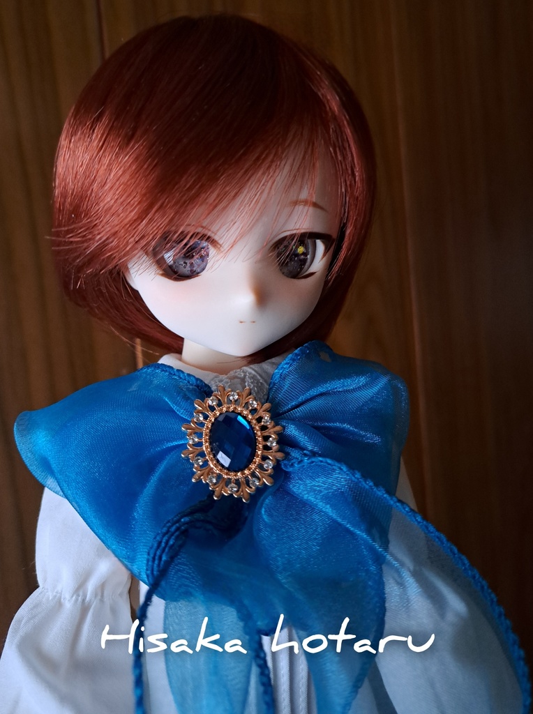 【DDH-29 カスタムヘッド SW肌+アイ】