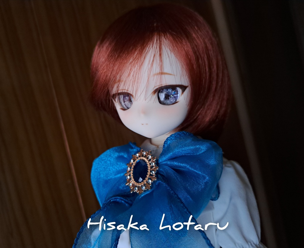 【DDH-29 カスタムヘッド SW肌+アイ】