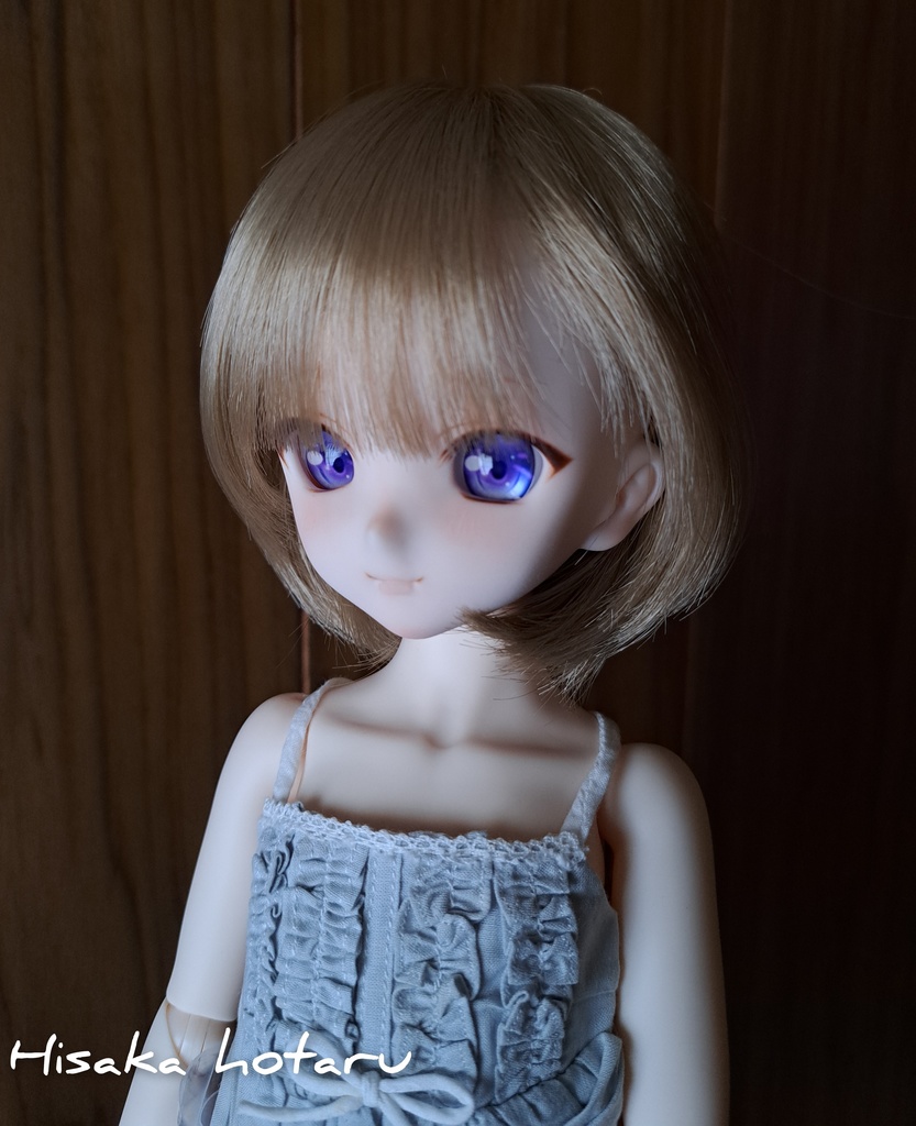 【DDH-10 SW肌 カスタム+アイ】