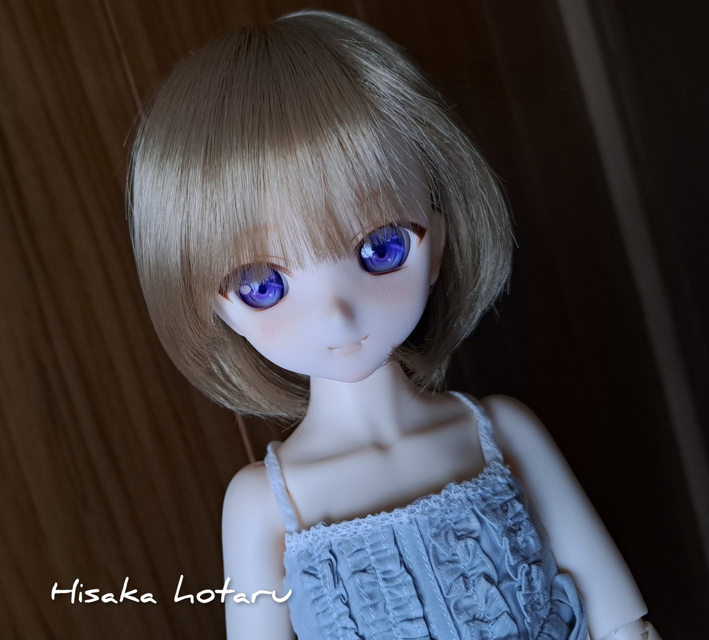 【DDH-10 SW肌 カスタム+アイ】