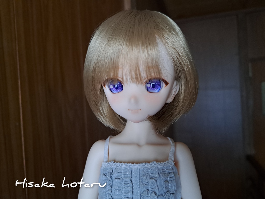 【DDH-10 SW肌 カスタム+アイ】