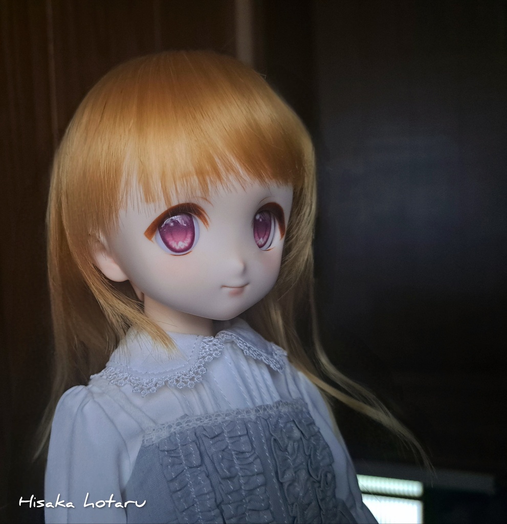 【DDH-22 SW肌 カスタム+アイ】