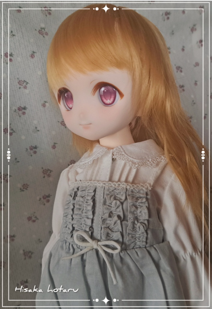 【DDH-22 SW肌 カスタム+アイ】