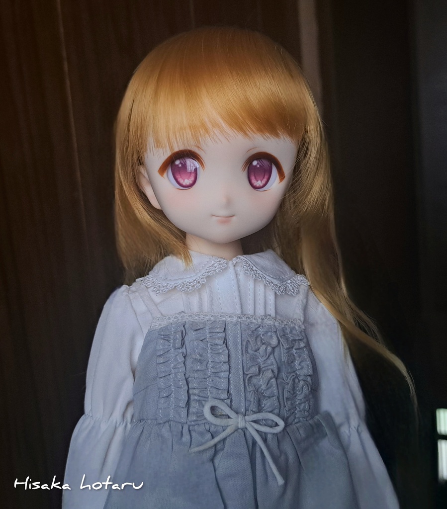【DDH-22 SW肌 カスタム+アイ】