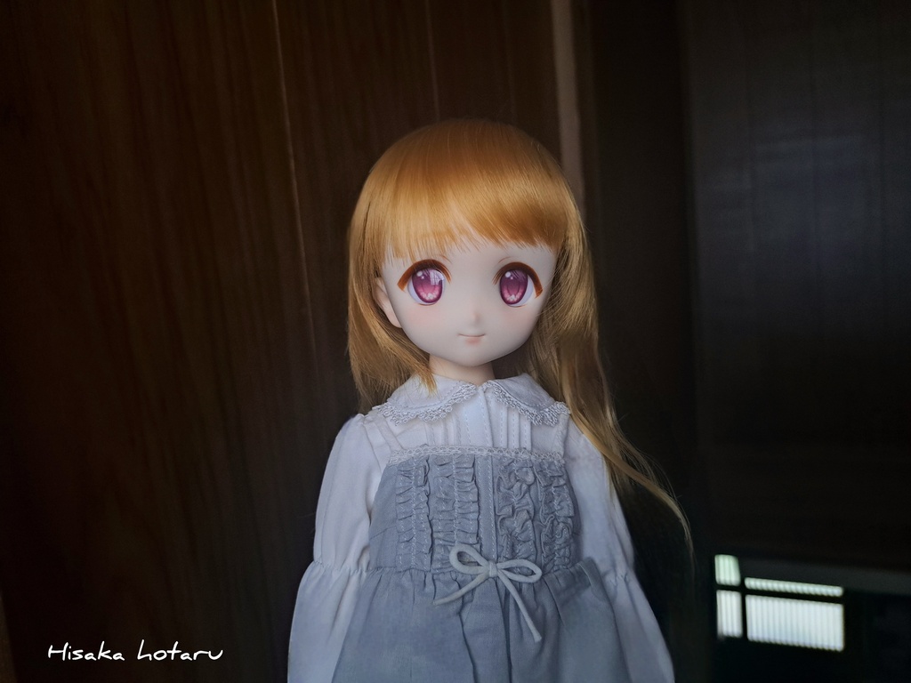 【DDH-22 SW肌 カスタム+アイ】