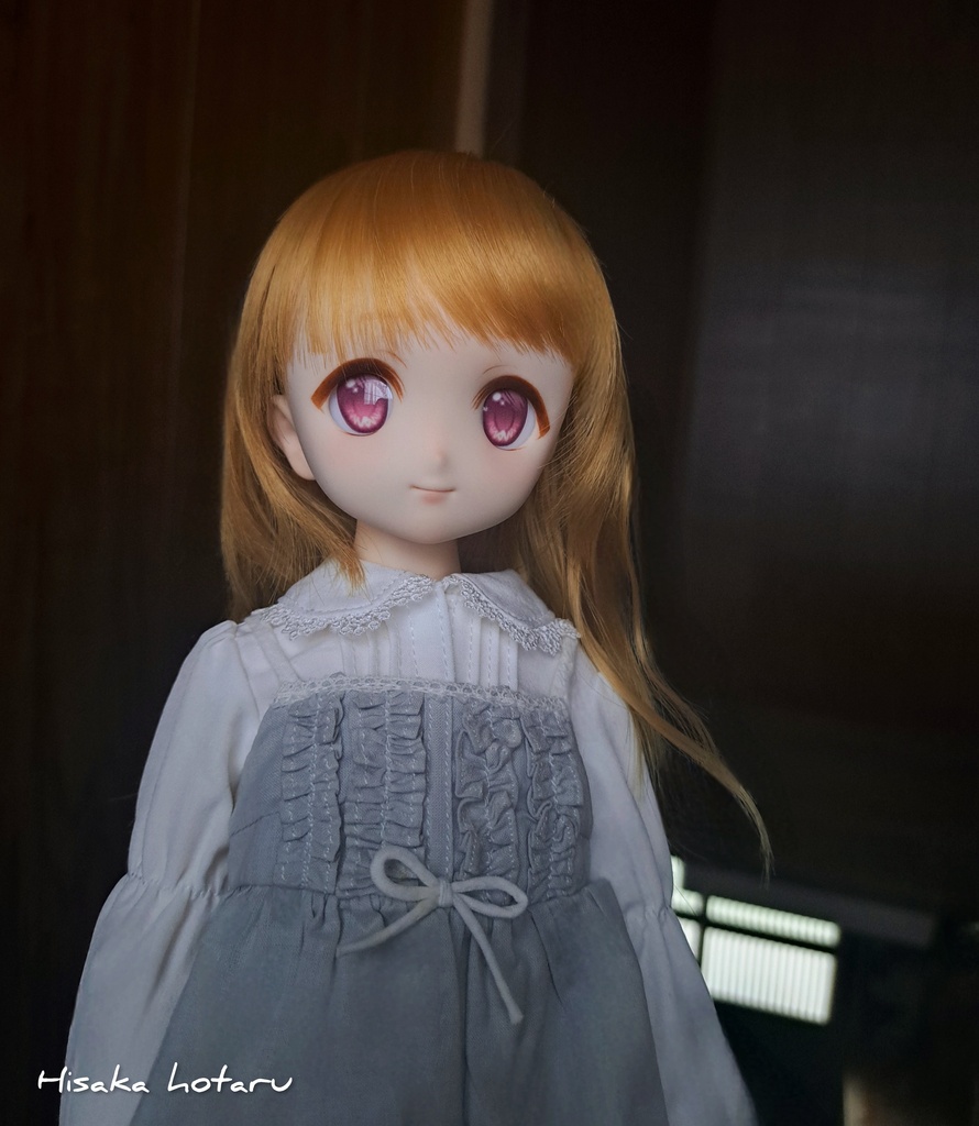 【DDH-22 SW肌 カスタム+アイ】