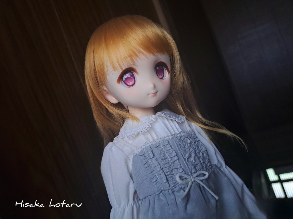 【DDH-22 SW肌 カスタム+アイ】
