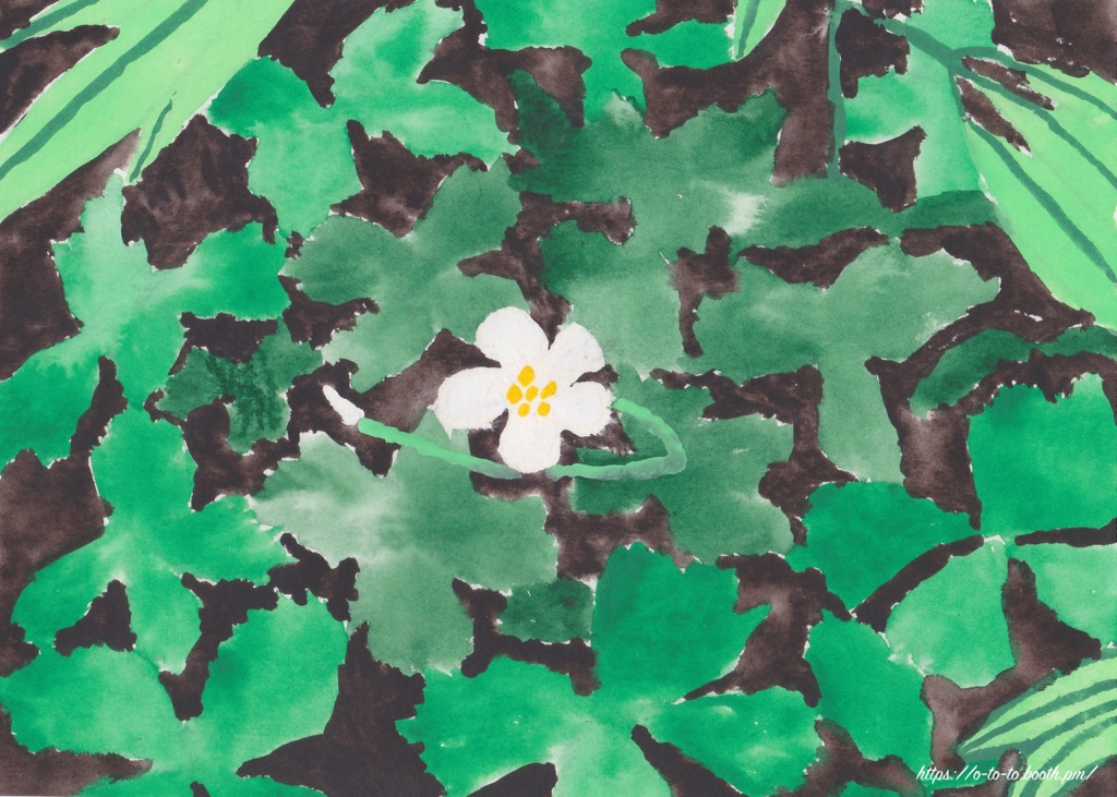 水彩原画_ニリンソウ(額装あり)