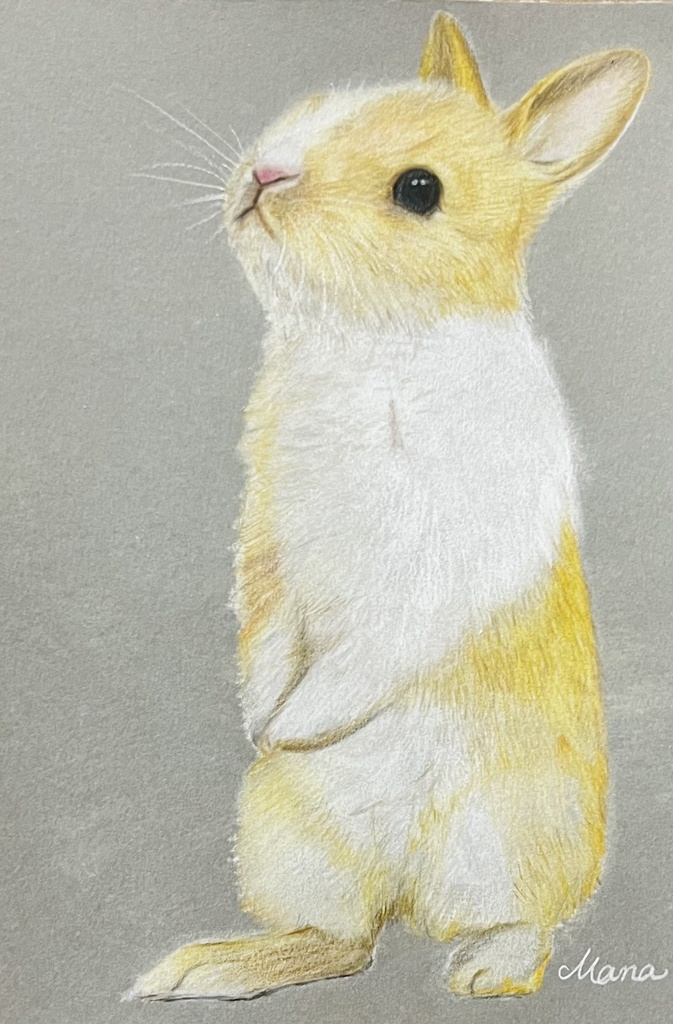 【Twitter】動物似顔絵イラスト(1体)