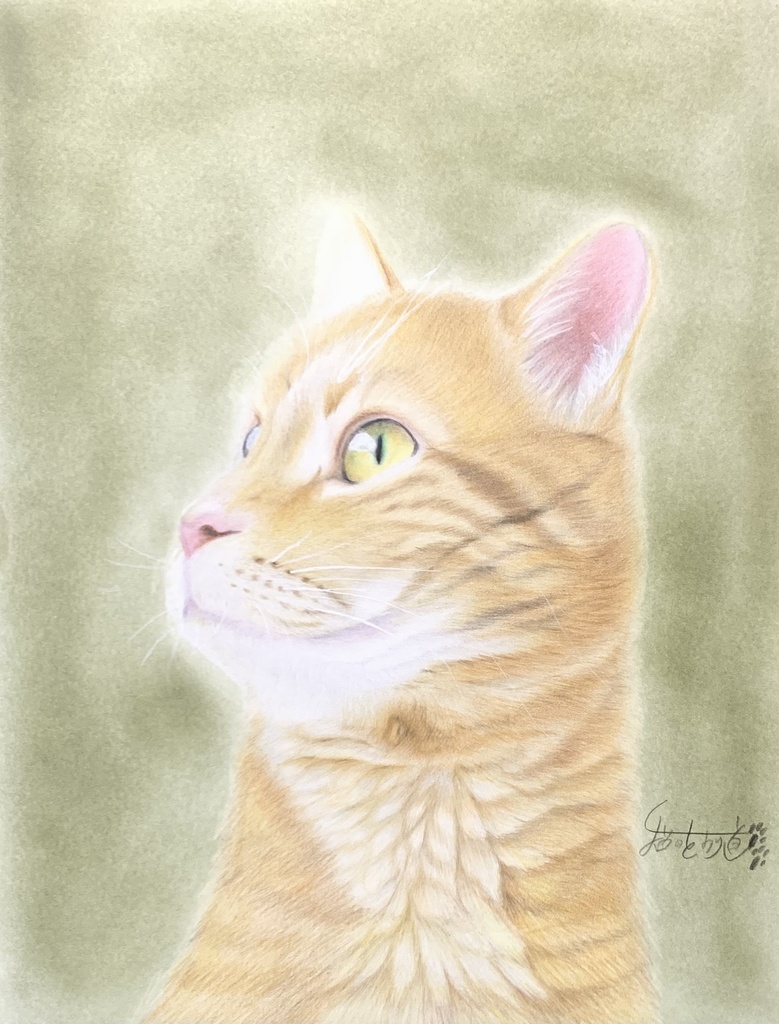 動物似顔絵イラスト(1体)