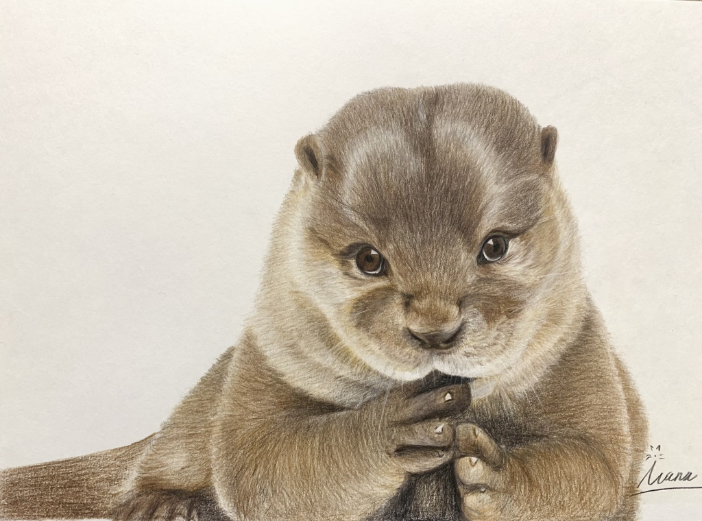 動物似顔絵イラスト(1体)