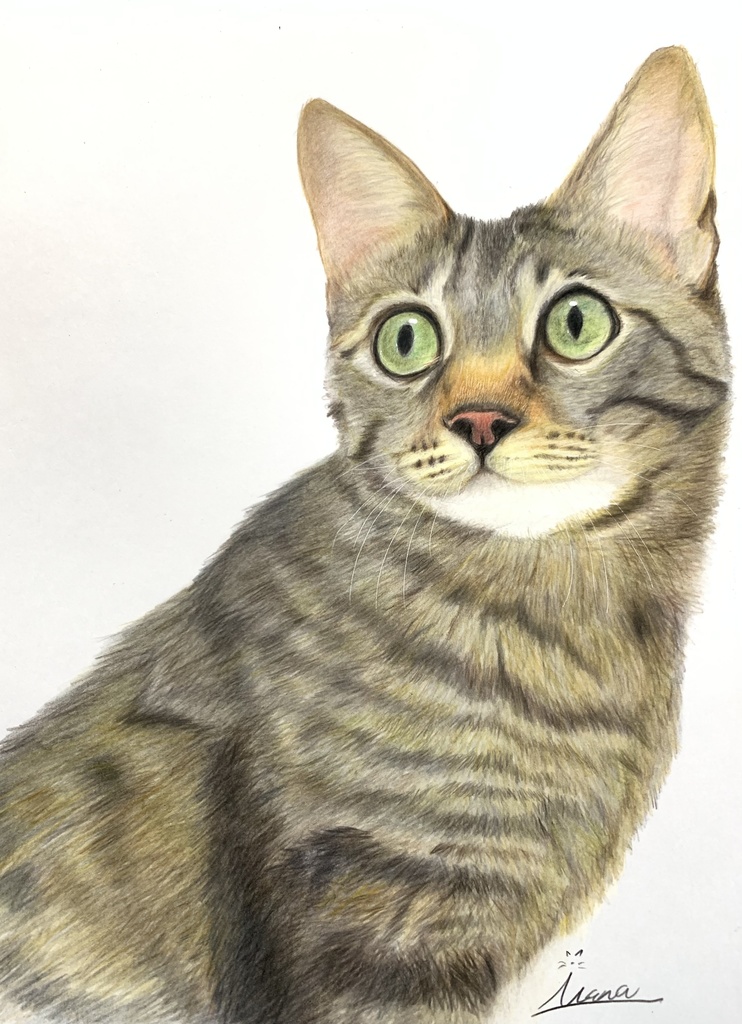 【オーダー】動物似顔絵(色鉛筆画) A4サイズ/簡易額装 ※ 購入前にオーダー内容を事前にメッセージしてください