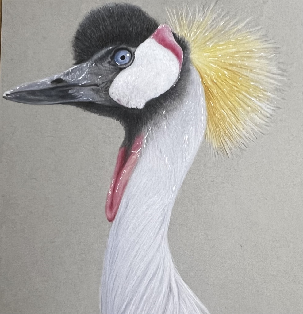 【オーダー】動物似顔絵(色鉛筆画) A4サイズ/簡易額装 ※ 購入前にオーダー内容を事前にメッセージしてください