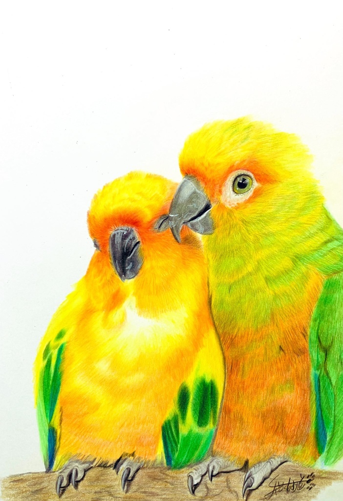 【オーダー】動物似顔絵(色鉛筆画) A3サイズ/ちゃんと額装 ※ 購入前にオーダー内容を事前にメッセージしてください