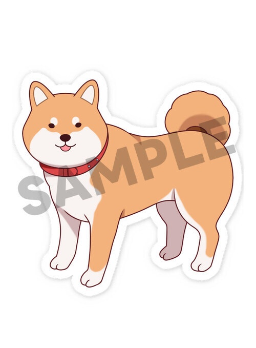 柴犬スマホステッカー 赤柴