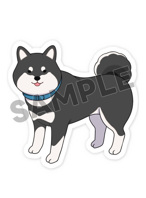 柴犬スマホステッカー 黒柴