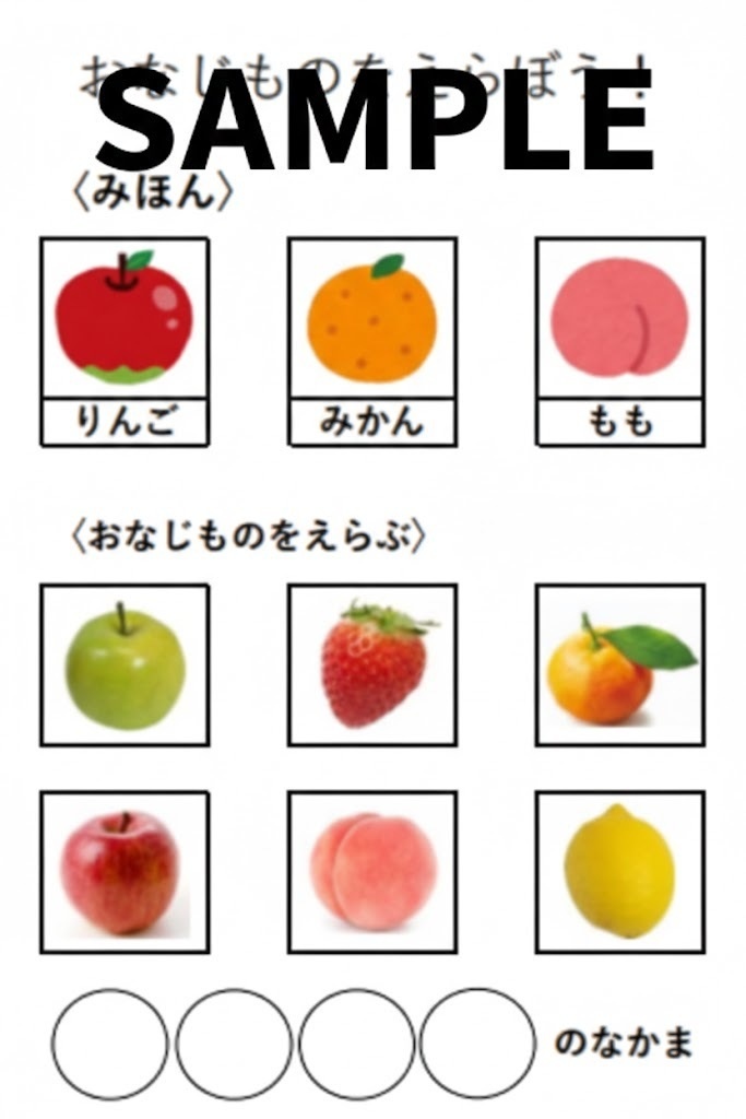 自立課題 マッチング(見本合わせ)