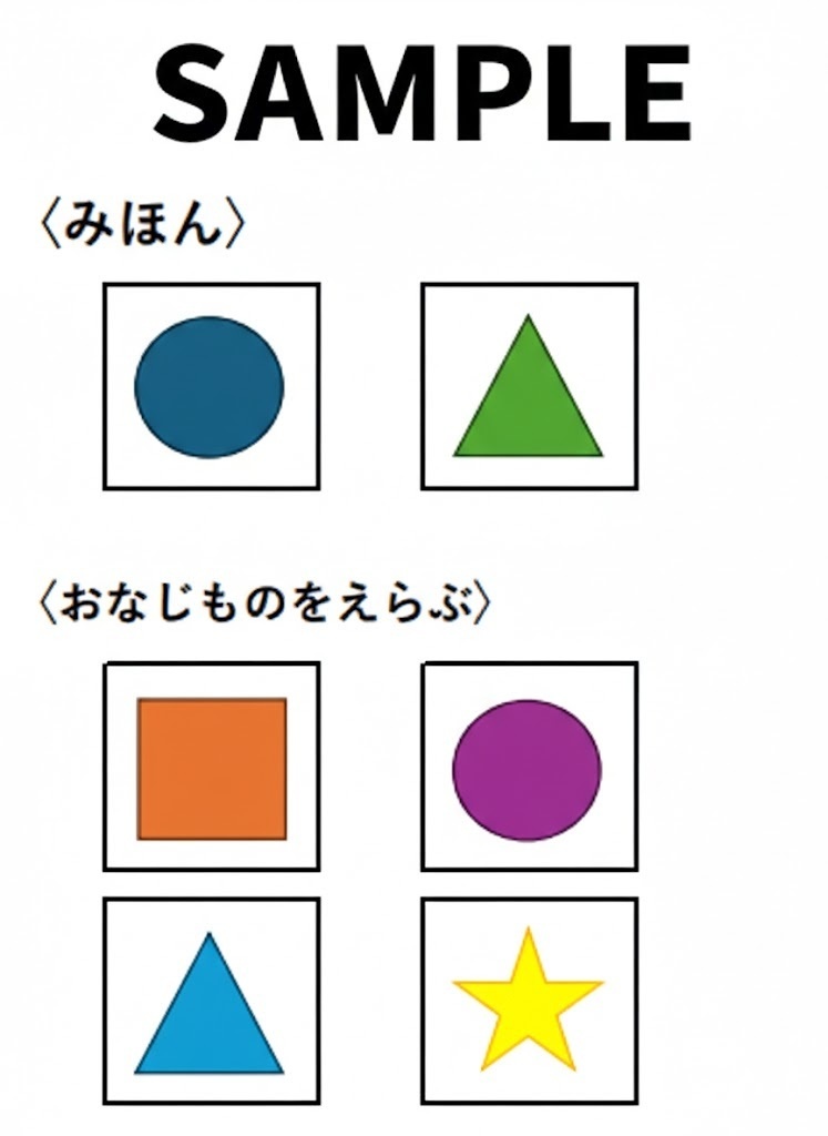 自立課題 マッチング(見本合わせ)