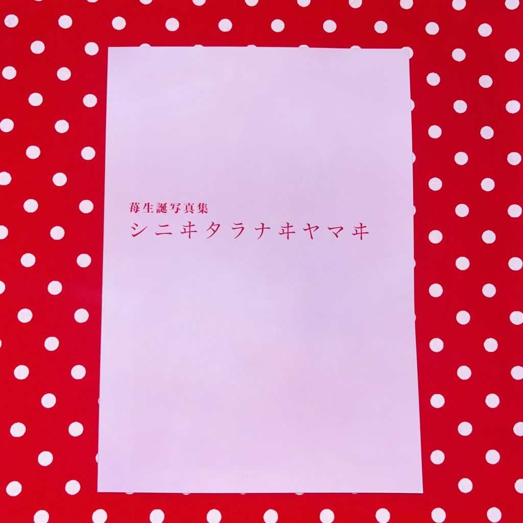 苺生誕写真集