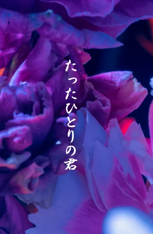 新刊のみ「たったひとりの君」