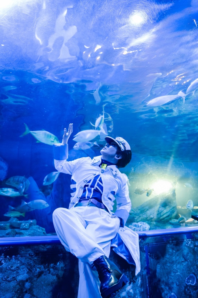 水族館写真クリアファイル