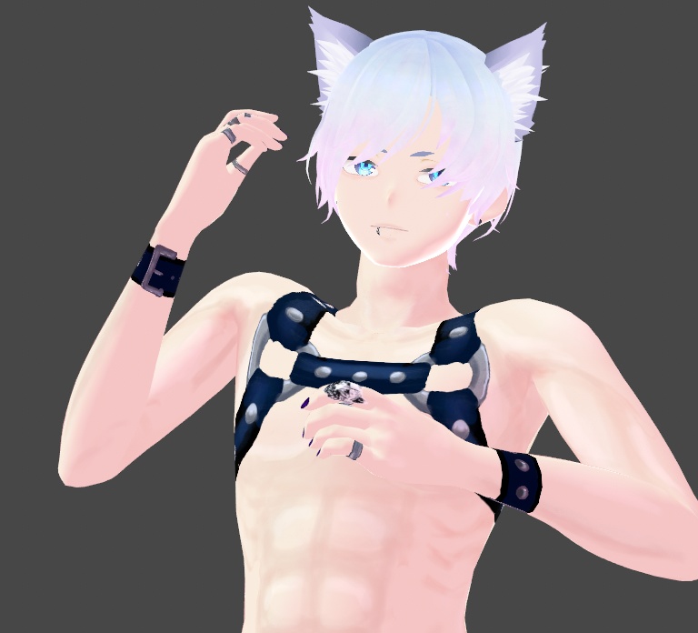 PRIDE SPECIAL Leather Harness Texture for Vroid