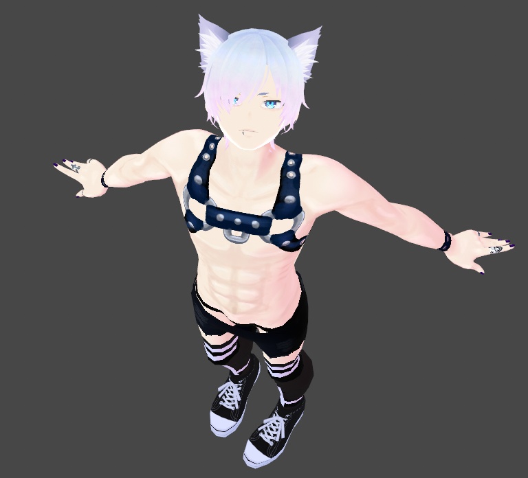 PRIDE SPECIAL Leather Harness Texture for Vroid
