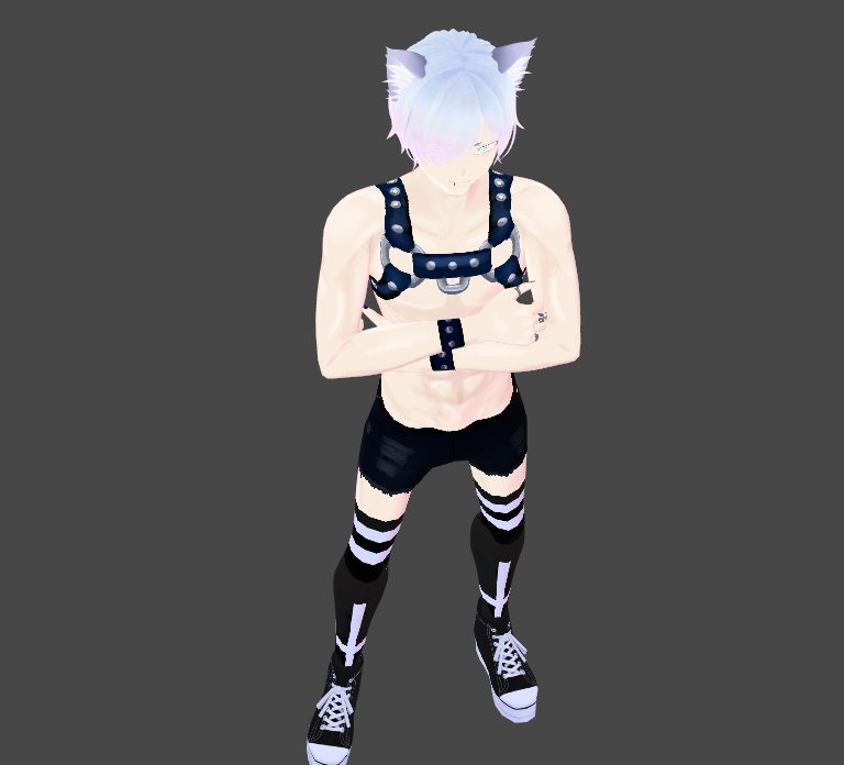 PRIDE SPECIAL Leather Harness Texture for Vroid