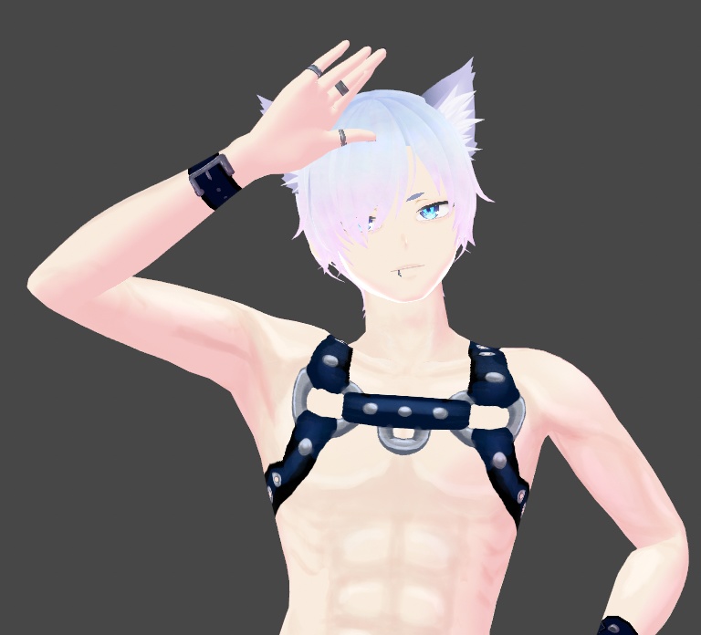 PRIDE SPECIAL Leather Harness Texture for Vroid