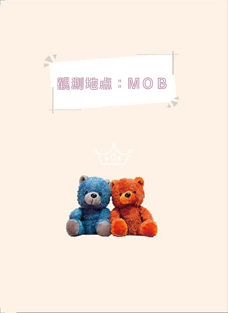 観測地点:MOB