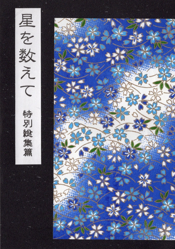 星を数えて 特別総集篇