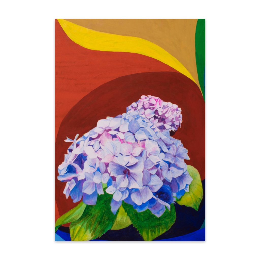 アジサイ　10枚セット