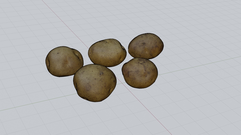 リアルなジャガイモ 5個セット