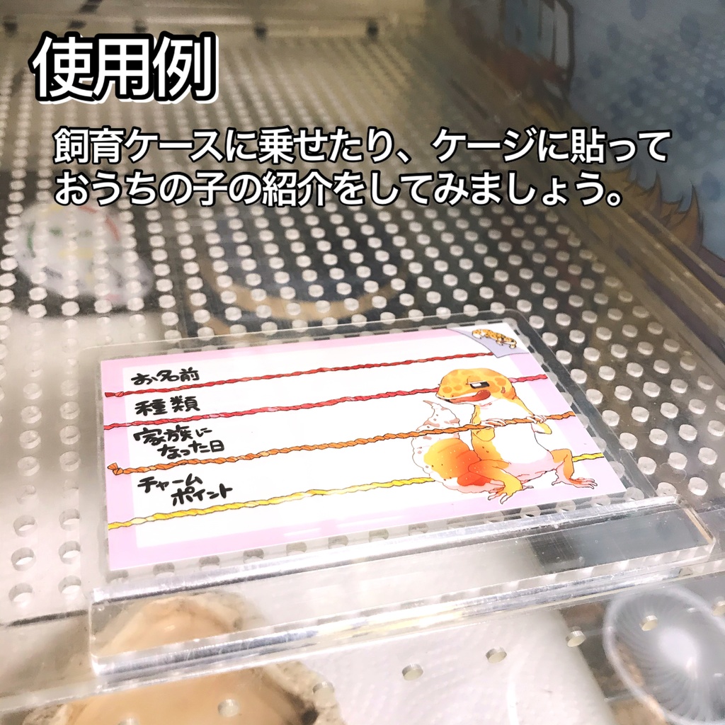 【第一弾】お名前プレート@爬虫類 全3種
