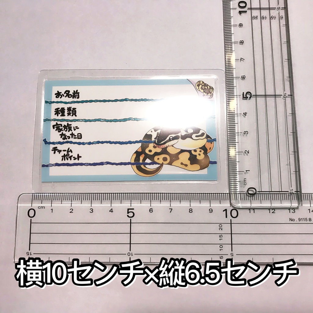 【第一弾】お名前プレート@爬虫類 全3種