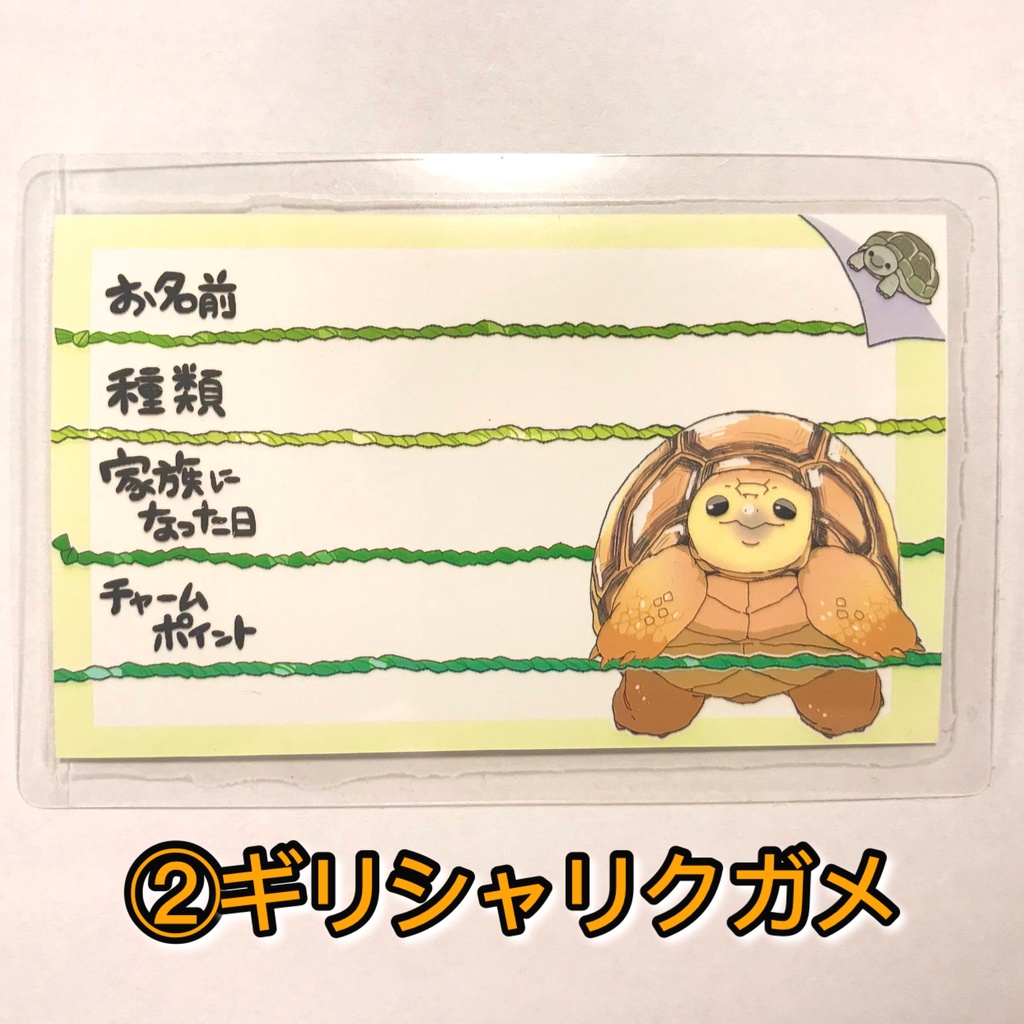 【第一弾】お名前プレート@爬虫類 全3種