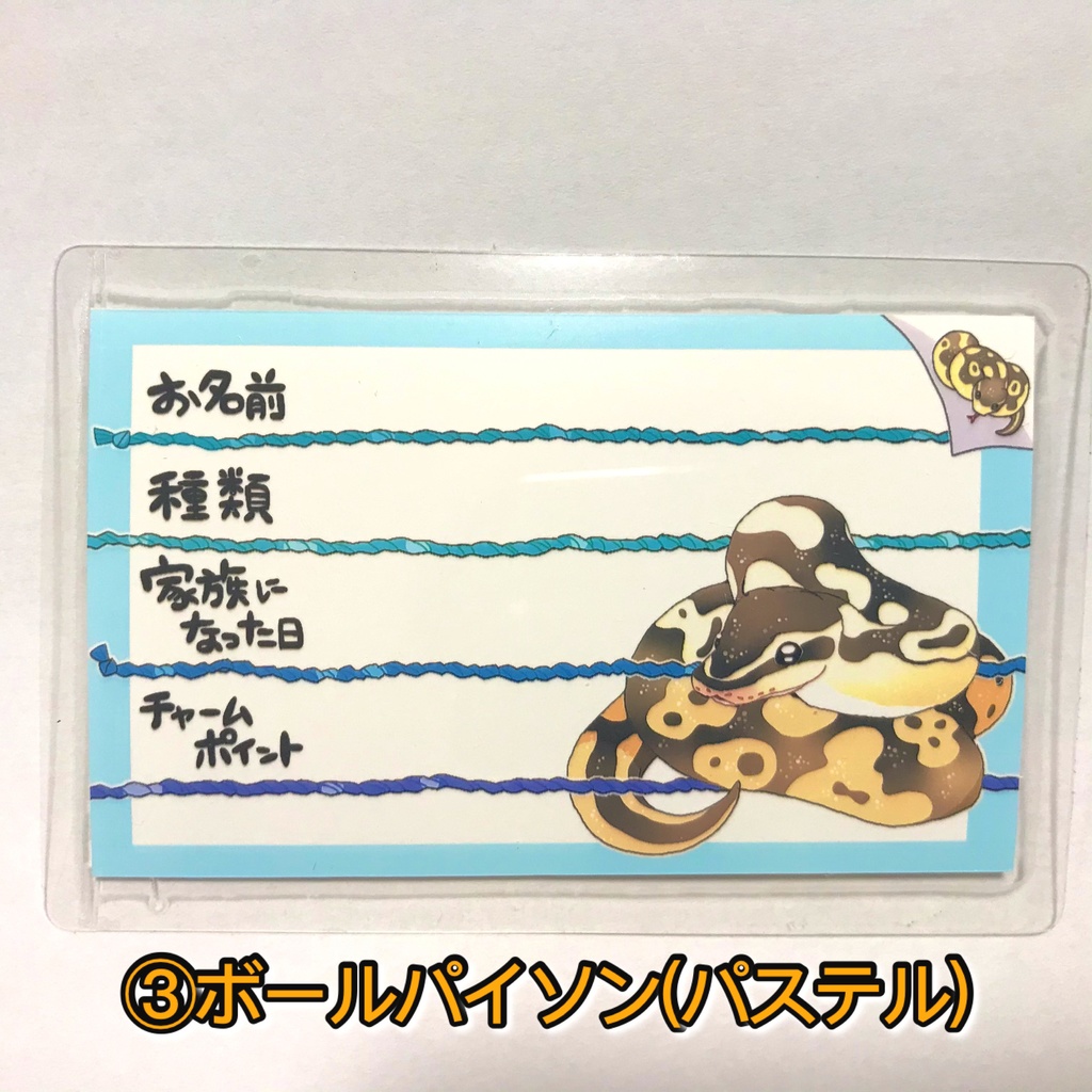 【第一弾】お名前プレート@爬虫類 全3種