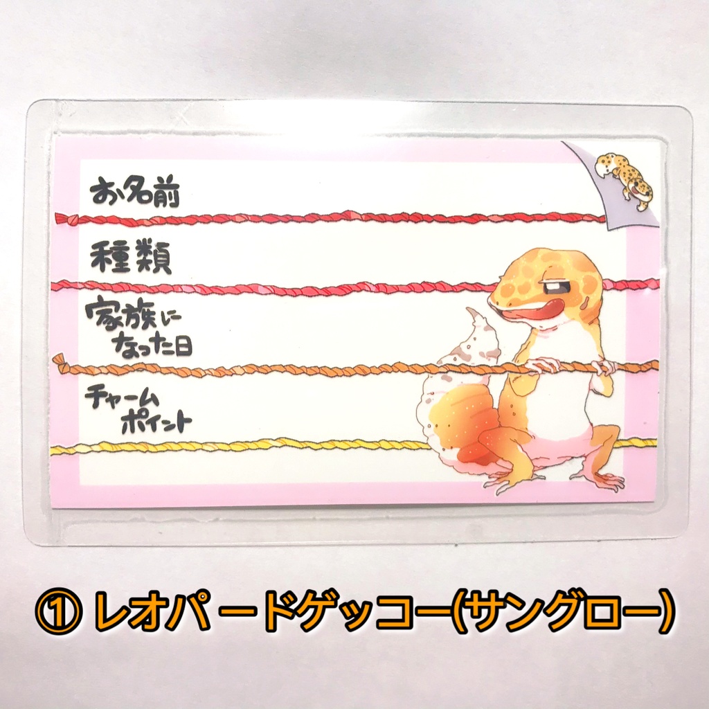 【第一弾】お名前プレート@爬虫類 全3種